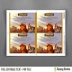 The Lion King Birthday Thank You Cards